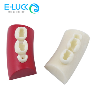 Impilamento di resina dentale blocchi di esercizio per otturazioni canalari esercizio medico esame modelli di formazione Endo blocco - Product Image 6