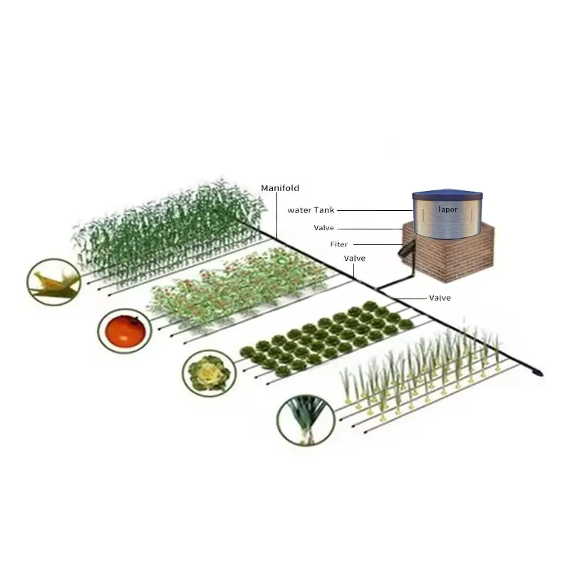 Sistema automatico della macchina integrato acqua e del fertilizzante per irrigazione conveniente/agricoltura moderna