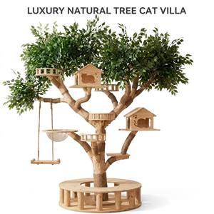 <span class=keywords><strong>Arbre</strong></span> à <span class=keywords><strong>chat</strong></span> en <span class=keywords><strong>bois</strong></span> véritable à texture d'écorce naturelle, design branche, idéal pour l'escalade, le grattage et le jeu des chats d'intérieur - Vente chaude - Product Image 3