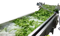 Doorlopende Fruit-En Groentedrukreiniger Automatische Wasreinigingsmachine