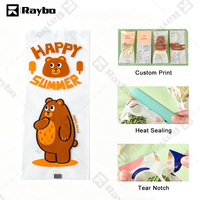 Emballages écologiques RAYBO pour glaces, emballages alimentaires jetables personnalisés en plastique transparent pour glaces