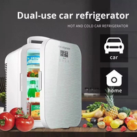 Vente en gros 12V voiture réfrigérateur lait boisson mini réfrigérateur Portable petit réfrigérateur voiture réfrigérateur