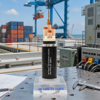 Câble basse tension blindé en fil d'acier avec conducteur en cuivre, isolation XLPE, 0,6/1 KV, modèle CU/XLPE/SWA/PVC, construction industrielle
