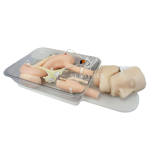 แบบจำลองการผ่าตัดเกี่ยวกับการฝึกอบรมการดำเนินการเกี่ยวกับกระเพาะอาหารสำหรับโรงเรียนฝึกพยาบาลและโรงพยาบาล - Product Image 4