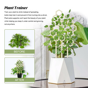 Upright Plant Support Trellis Stick Net Honeycomb Design <strong>Wooden</strong> Climbing Frame Potted Plants Training <strong>Stake</strong> <strong>for</strong> Growth Trainer - Product Image 5