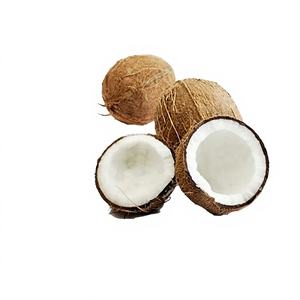 Coco Rallado en Polvo de Alta Calidad, 63% de Grasa, Grado Fino, 3% de Humedad, Muestra Gratis, para Repostería, Cocina y Smoothies, Agricultura de Vietnam - Product Image 1