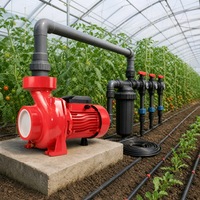 Pompe centrifuge d'irrigation à entraînement direct par moteur électrique pour l'irrigation et le drainage agricoles, fabricant certifié CE