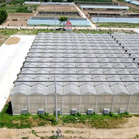 Grande serre en polycarbonate avec structure en acier galvanisé à chaud pour la culture hydroponique de la laitue, système climatique intelligent