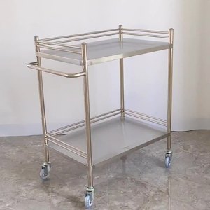Chariot médical double couche en acier inoxydable Lekang 600x440x880mm pour hôpital, soins infirmiers et salon de beauté - Product Image 1