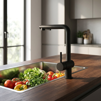 Robinet de cuisine de luxe noir avec douchette extractible, mitigeur d'évier à poignée unique pour usage domestique moderne