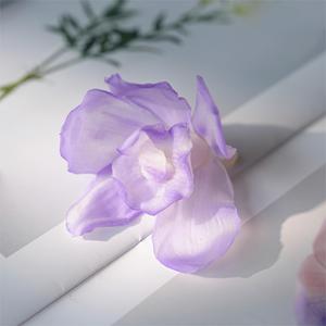 Cabeza de Flor de Orquídea Phalaenopsis Preservada, Mariposa Eterna, 7-8cm, 3 Piezas/Caja, Regalo para Ella, Cumpleaños, Día de San Valentín, Día de la Madre - Product Image 1
