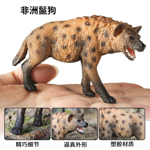 Modelos de juguetes de animales sólidos para niños de yxs, simulación de zoológico, hiena, coyote africano con manchas, adornos - Product Image 4