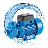 Pompe à eau périphérique de jardin à haute pression électrique monophasée QB60 de 1 2 3 CV 50 Hz 220 V, fabrication chinoise, robuste