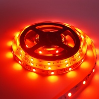 Bande lumineuse LED RVB + W DC24V Flex RGB + W Bande lumineuse LED à double puce LED Diodes RVB couleur blanche pour la décoration de rétroéclairage TV