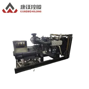 CE Approved High-voltage 200kW 250kva Natural Gas Generator