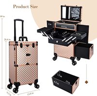 Valise à roulettes professionnelle pour maquilleurs, trousse de maquillage multifonctionnelle, grande valise de rangement à roulettes pour les techniciennes en ongles