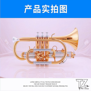 Trompette Fulug en cuivre de qualité supérieure, tonalité Sib, tube vocal en cuivre blanc, clé Sanli dorée, vente en gros d'usine - Product Image 4