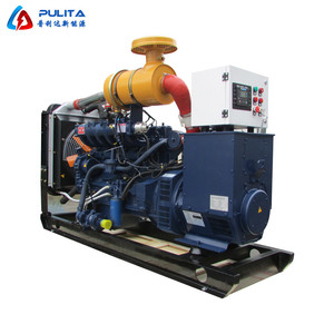 Pulita Natural Gas <b>Generator</b> 300KW 50Hz Water Cooled 1500RPM 24V Electric Start IP54 - Product Image 1
