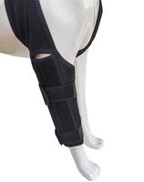 Genouillère pour chien Acl de soutien de jambe arrière réglable pour jambe arrière