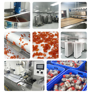 Complément alimentaire quotidien pour le nettoyage des reins, à base d'extraits d'herbes pour l'acide urique, capsules dures - Product Image 6