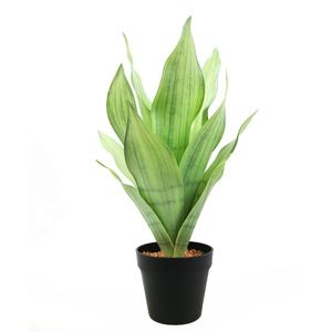 Mini Bonsái Artificial de <span class=keywords><strong>Sansevieria</strong></span> de 35 cm de Alto, 9 Hojas, para Decoración de Oficina - Product Image 4