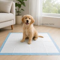 Tapis d'entraînement pour chiots et chiens, très résistants, écologiques, avec noyau en pâte de cellulose SAP, absorption rapide, support imperméable IPX7, nettoyage, OEM, en vrac