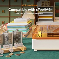Module laser infrarouge Xtool M2 3W 1064nm, tête laser à fibre pour la gravure sur métal, bijoux, or, argent, acier inoxydable