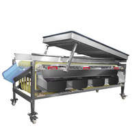 Professionele Automatische Goede Kwaliteit Fruit Grader Tomaat Peer Kiwi Citroen Vruchtmaat Sorteerder Fruit Sorteermachine
