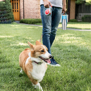 Nouvel ensemble de bouteilles et gamelles de voyage portables en acier inoxydable isothermes pour chiens et chats, idéal pour les promenades - Product Image 5