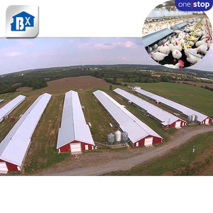 Service complet pour élevage de poules pondeuses, <span class=keywords><strong>cage</strong></span> pour 1000 poulets, conception de poulailler pour élevage de poules pondeuses - Product Image 1