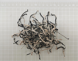 Oreja de madera de <span class=keywords><strong>hongo</strong></span> negro seco de comida china al por mayor de fábrica entera/rebanada/cortada <span class=keywords><strong>en</strong></span> cubitos - Product Image 2