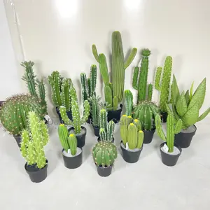 Fábrica Assorted Size Artificial Cactus Faux Plastic Cactus Plants Potted Artificial Cactus Plantas para Decoração Interior