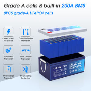 Paket Baterai Lithium Ion Li-ion LifePo4 12V 24V 36V 48V 23Ah 50Ah 100Ah 200Ah 300Ah yang Dikustomisasi untuk Robot Drift Cart - Product Image 2