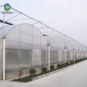 10 Orejas Garantía Agricultura Hoja de policarbonato Venlo Invernadero para el cultivo de tomate - Product Image 4