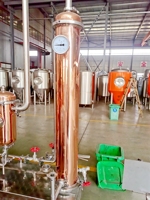 Équipement de distillation pour distillerie artisanale Alambics en cuivre de 50L-300L pour la distillation de gin, de vodka, de whisky pour la transformation de l'alcool