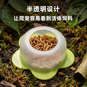 Bol à nourriture pour reptiles, bol à nourriture pour geckos <span class=keywords><strong>et</strong></span> autres reptiles, <span class=keywords><strong>vers</strong></span> de blé, anti-évasion, semi-transparent - Product Image 2