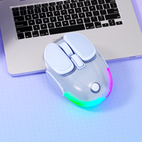 Souris sans fil magnétique silencieuse portable LED transparente BT 2,4 GHz USB pour ordinateur portable, tablette, PC, ordinateur portable avec batterie