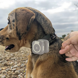 Bán hàng nóng IP67 không thấm nước Dog Collar Locator 4 gam GPS Pet Tracker với thời gian thực hoạt động giám sát trên toàn thế giới theo dõi - Product Image 5