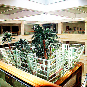 Personalizar plantas ornamentales tropicales Dubai decoración de interiores, artificiales de árbol de <span class=keywords><strong>Palma</strong></span> - Product Image 6
