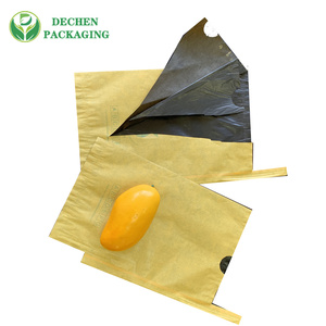 Food Grade Anti Uv Apple Grape Fruit Protection Nursery Growing Mango Cultivation Bag In India