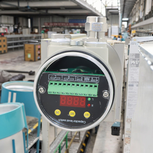 Instrumento de medición de nivel de brida ATEX DN25 Sensor químico de punto dual - Product Image 6