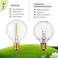 Ampoule à filament LED vintage Edison G40 de haute qualité, à intensité variable, avec télécommande pour le remplacement de lampes de jardin