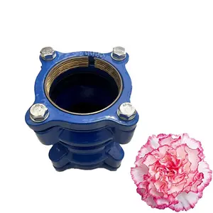 LEEBOO Factory Pn10 Pn16 Pn25 Ductile Cast Iron Flexible Quick Connector DI Restrained Universal Coupling For HDPE/PVC Pipes