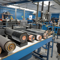 0.6/1KV Einadriges oder Mehradriges 100% Kupfer XLPE PVC 25mm² 50mm² 70mm² 150mm² 300mm² 400mm² Armiertes Erdungs-Erdkabel