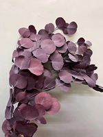 Feuilles d'eucalyptus conservées de haute qualité feuilles de pomme vraies fleurs pour décor de mariage et arrangement floral