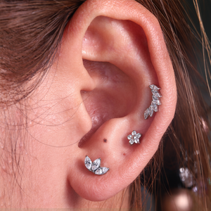 Piercing Labret en Titane ASTM-F136 G23 de Haute Qualité, Bijou d'Oreille Plaqué Or, Tendance, pour Piercing Corporel - Product Image 4