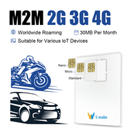 Carte SIM internationale S Make, carte IoT 30 Mo/mois pour un an, itinérance GPS M2M 2G/3G/4G, carte SIM utilisée sur les traceurs GPS de voiture