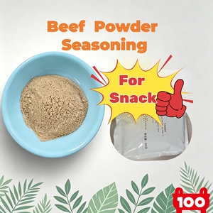 Poudre d'assaisonnement de bœuf séché halal premium, mélange d'épices <span class=keywords><strong>pour</strong></span> barbecue, saupoudrage savoureux <span class=keywords><strong>pour</strong></span> snacks, frites, pop-corn, riche en saveurs - Product Image 1