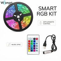 Tira de Luces LED Inteligentes RGB 5050 de 12V/24V con Wi-Fi e IP20, Cambio de Color, Decoración Interior Colorida