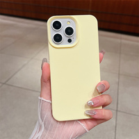 Coque de téléphone portable en TPU mat pour iPhone 17 Air 17 Pro Max 16 15 14 13 12 11